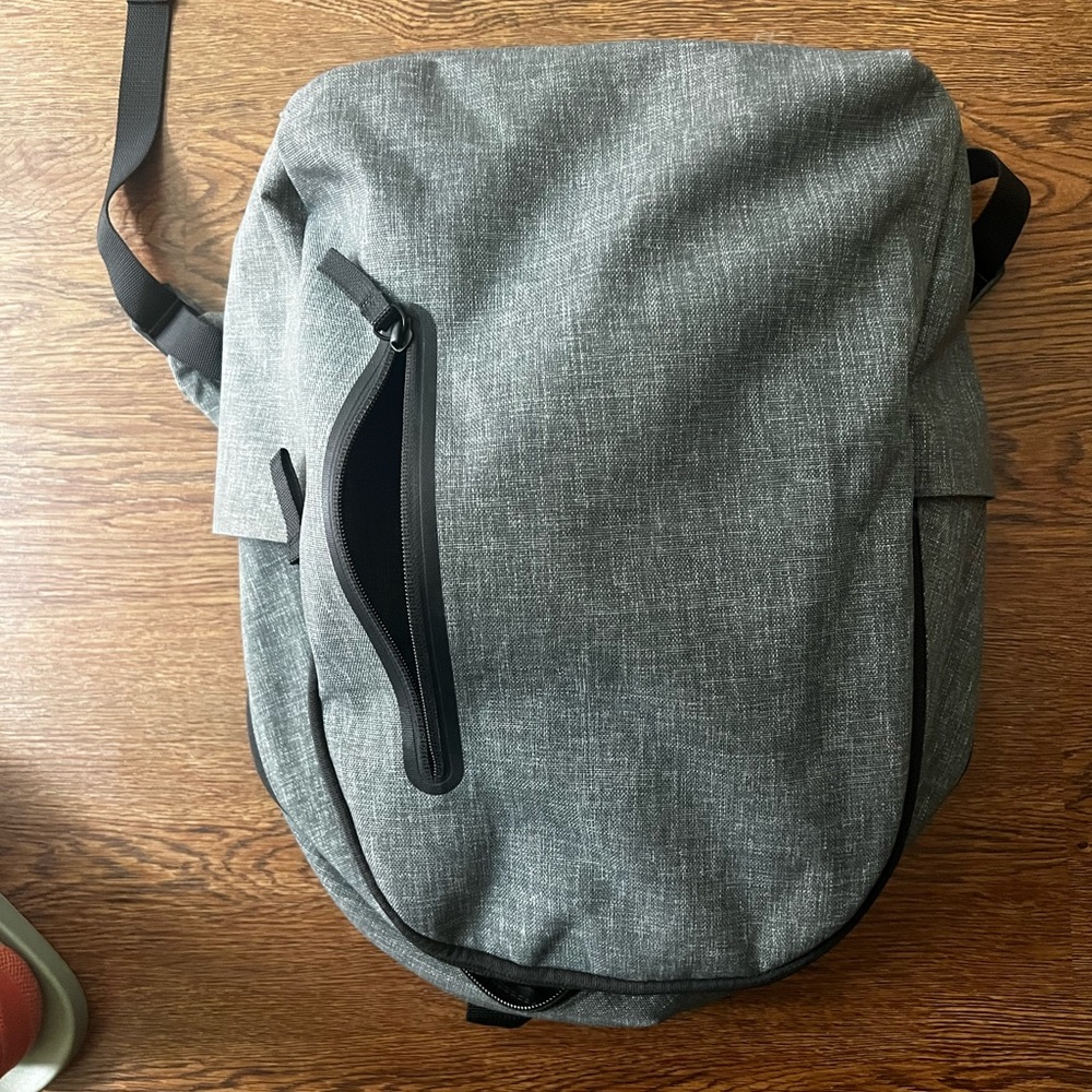 Everlane backpack